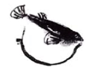 パソコン用の画像